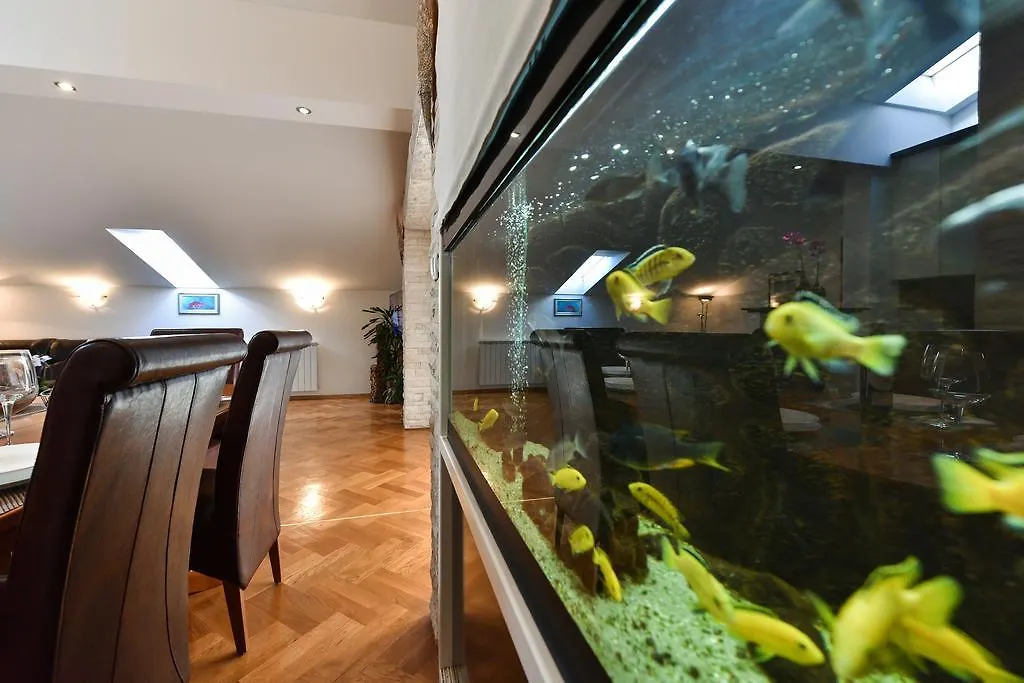 Luxury Apartments Sandra Zadar